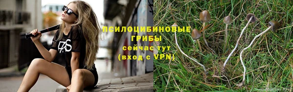 спиды Армянск