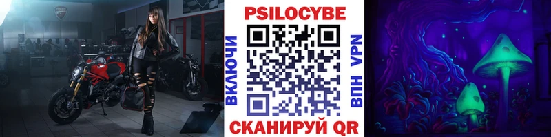 где можно купить Кольчугино hydra ONION Галлюциногенные грибы ЛСД