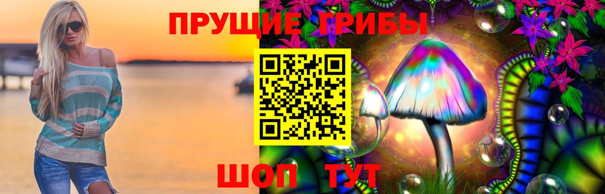 Галлюциногенные грибы прущие грибы  Вход с VPN  купить наркотики сайты  Кольчугино  Псилоцибиновые грибы Cubensis 